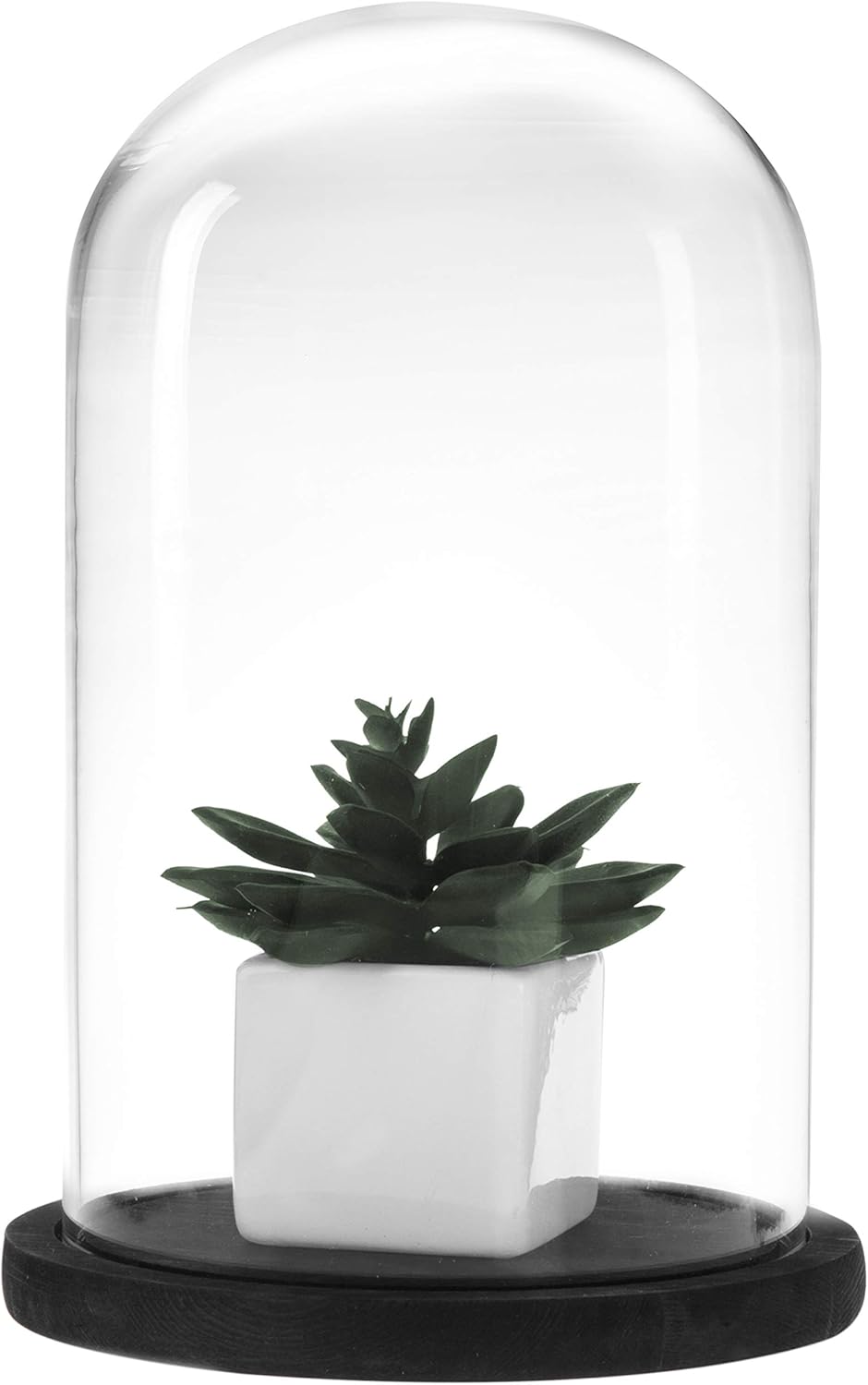MyGift The Bell Jar Glass Cloche with Black Wood Base, 10 Inch Tall Clear Decorative Glass Dome Display for Plants, Curios, Keepsakes, Heirlooms