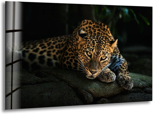 My Photostation.com Round 31,5'' Fierce Leopard Glass Wall ArtTempered Glass Printing Wall Decor Large Wall Art Wall Hangings