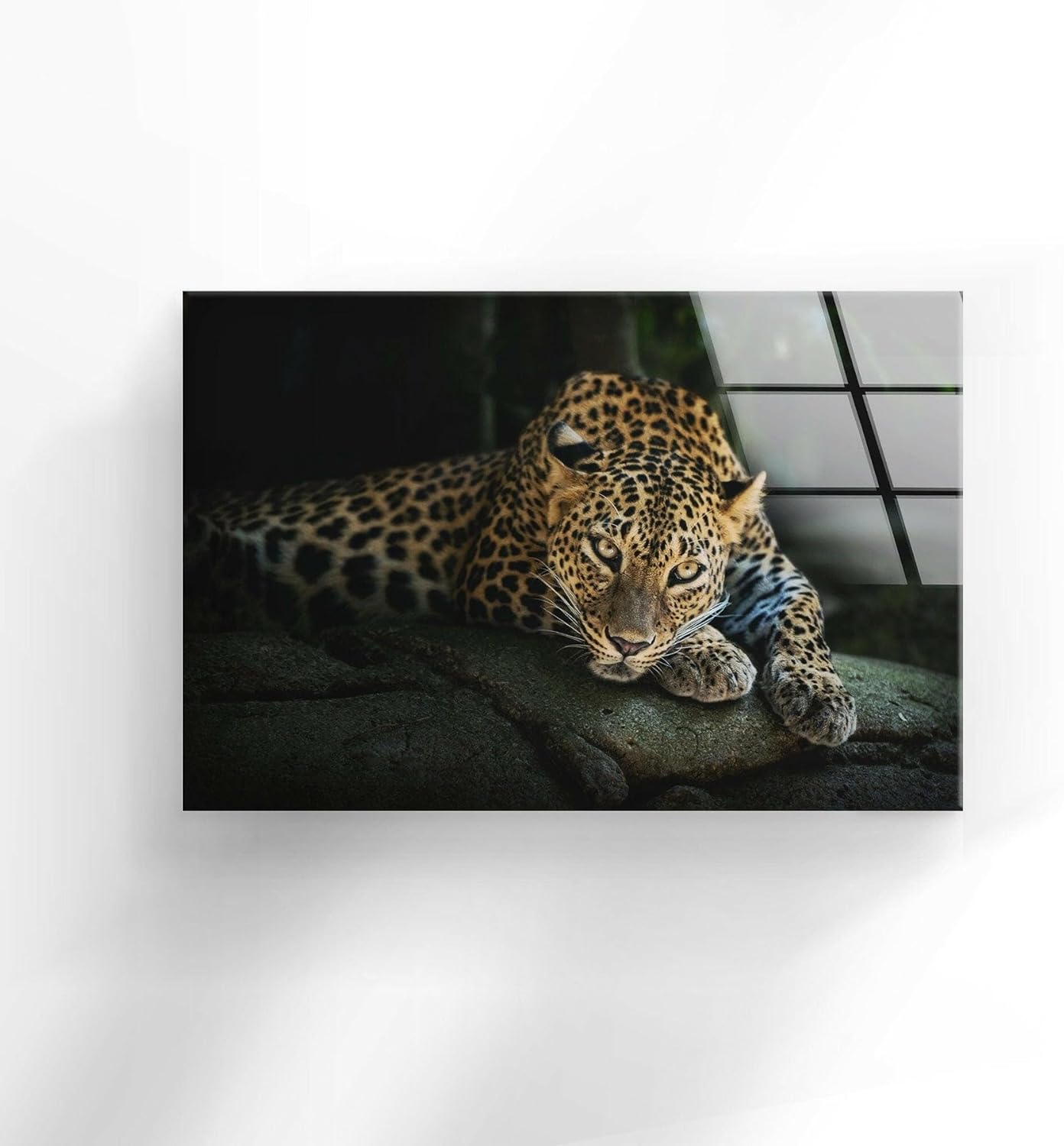 My Photostation.com Round 24'' Fierce Leopard Glass Wall ArtTempered Glass Printing Wall Decor Large Wall Art Wall Hangings