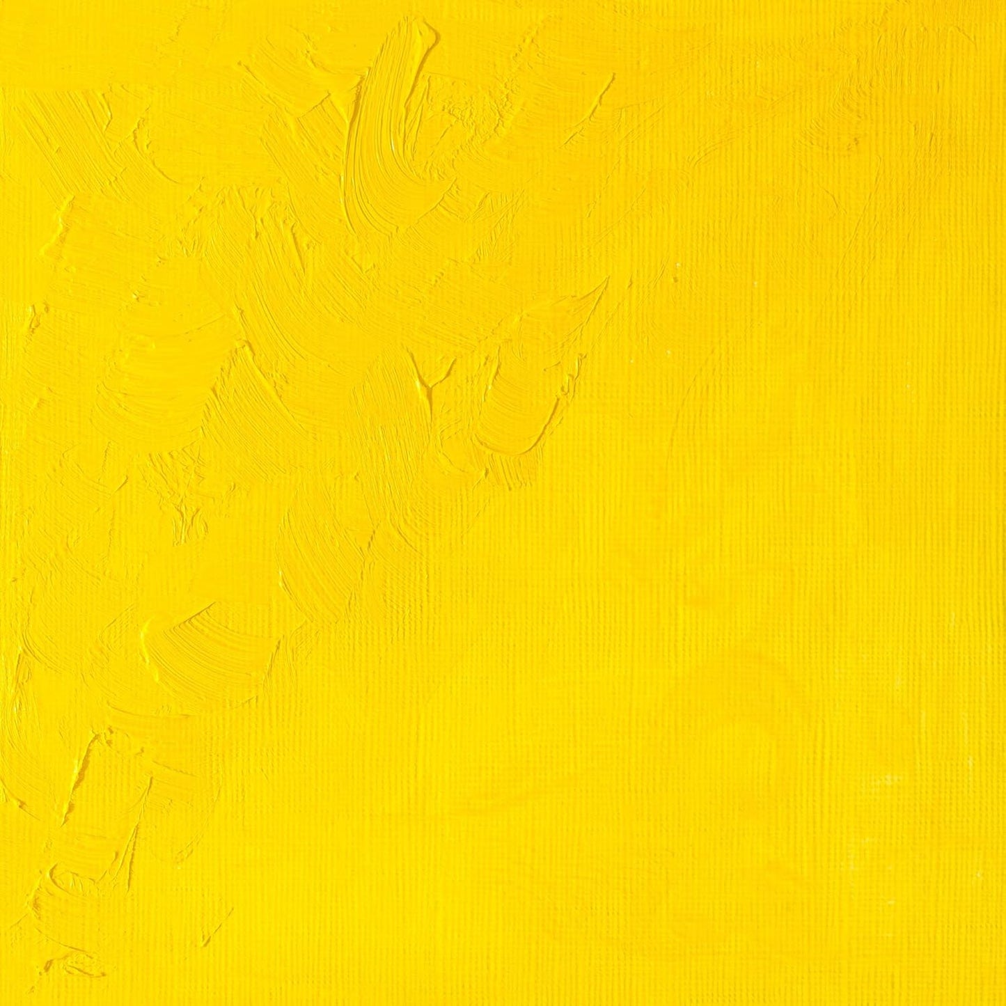 Winsor & Newton Winton Oil Color, 37ml (1.25-oz) Tube, Cadmium Yellow Light