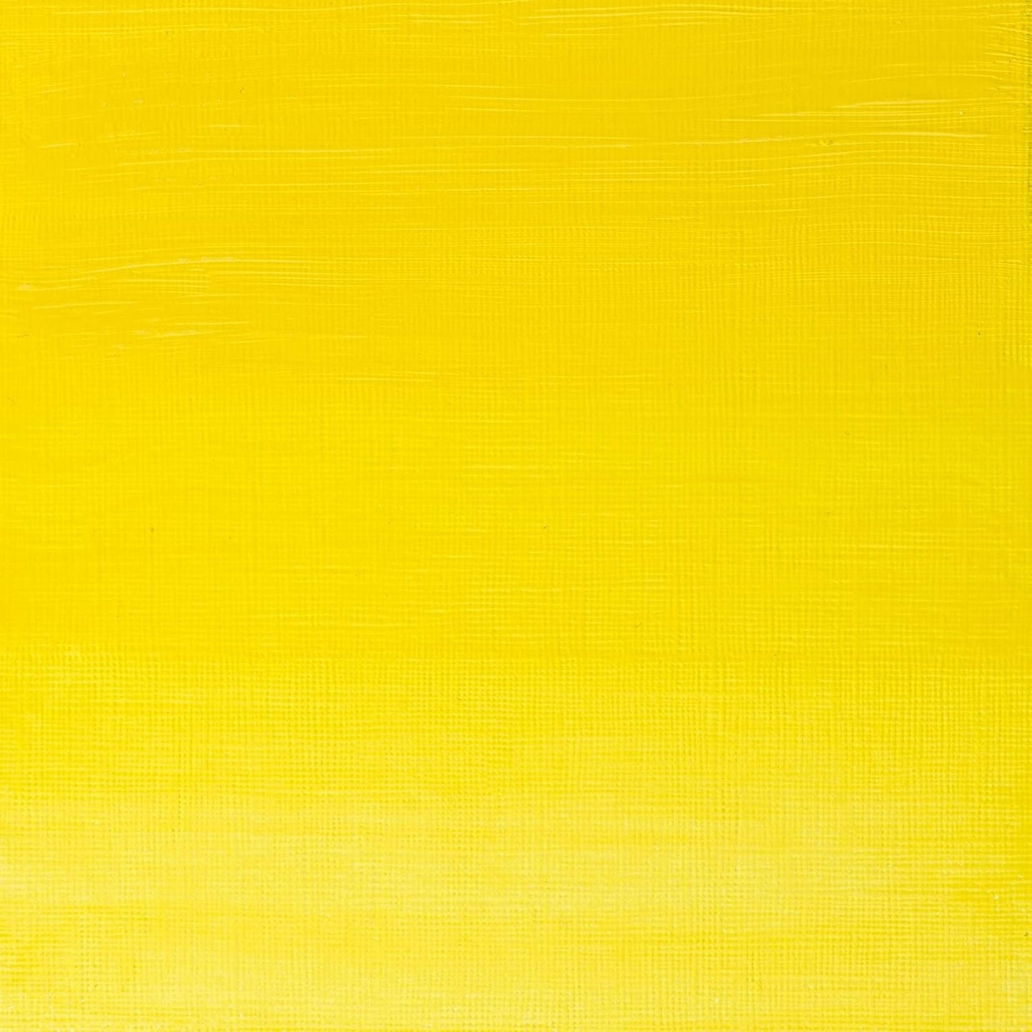 Winsor & Newton Artists' Oil Color, 200ml (6.75 oz) Tube, Winsor Lemon