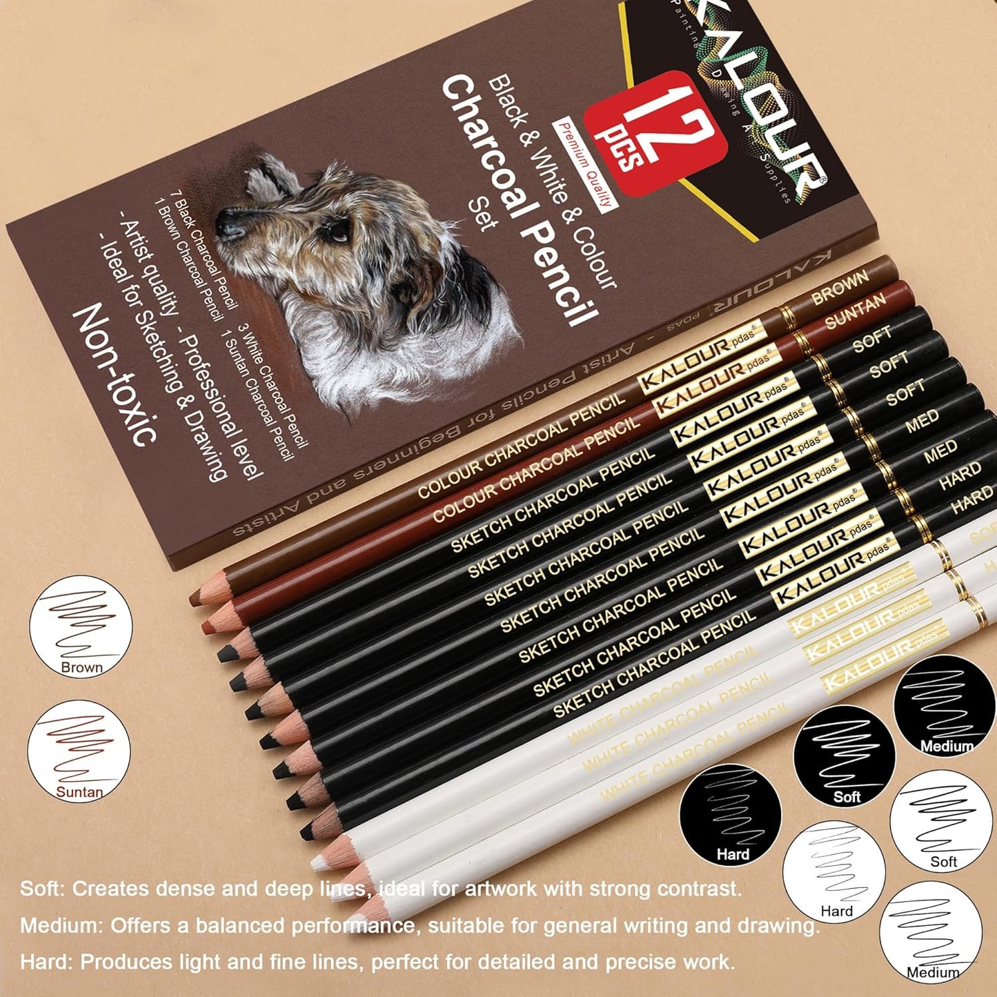 KALOUR Pro Colored Charcoal Drawing Set,12 Pieces Pastel Chalk Pencils for Sketching, Shading, Blending, Portrait, Black White Charcoal for Beginners & Artists