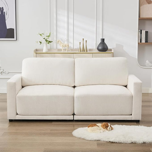 77.4" Modular Sectional Loveseat Sofa, Cloud Deep Seat Couch, Love Seat Sofas by CACFTII
