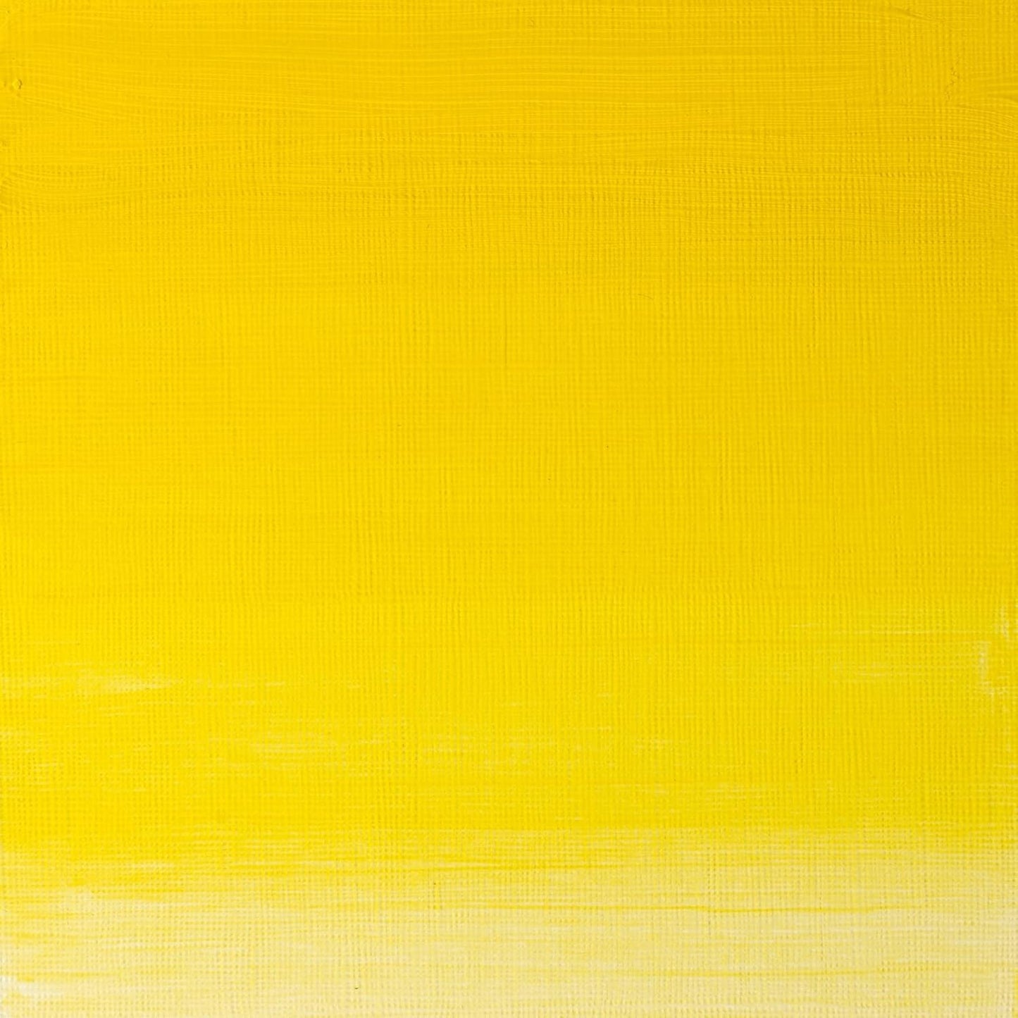 Winsor & Newton Artists' Oil Color, 200ml (6.75 oz) Tube, Winsor Yellow