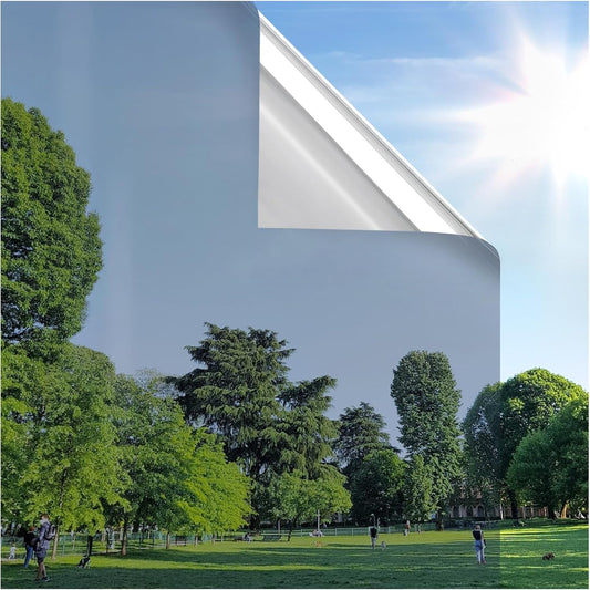 rabbitgoo Window Privacy Film One Way Window Tint for Home, Removable Reflective Heat Sun Blocking Anti UV Glass Door Covering, Mirror Tinting Film House Office, 23.6 in X 9.8 Feet, Silver