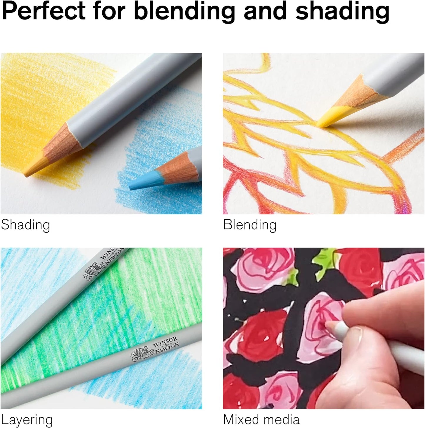 Winsor & Newton Studio Collection Artist Pencils, Color Pencils, Set of 12