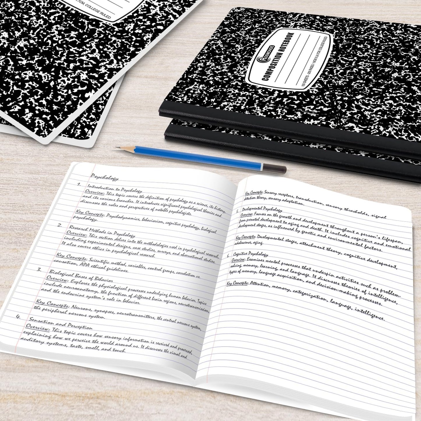 Rosmonde 2000 Pack (Pallet) Composition Notebooks Bulk, College Ruled, Full Pallet of Notebooks, 200 Pages (100 Sheets), 9-3/4 x 7-1/2, Bulk Notebooks for School, College & Office, 4-7 Days Transit