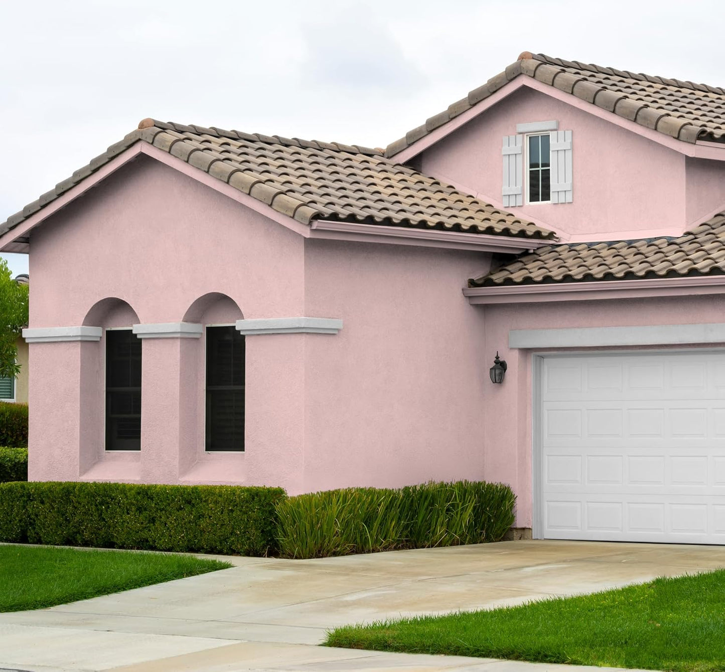EVOLVE Paint & Primer: Environment-friendly, Low Sheen with One-coat Coverage for Interior & Exterior surfaces (Posy Pink, 5-Gallon)
