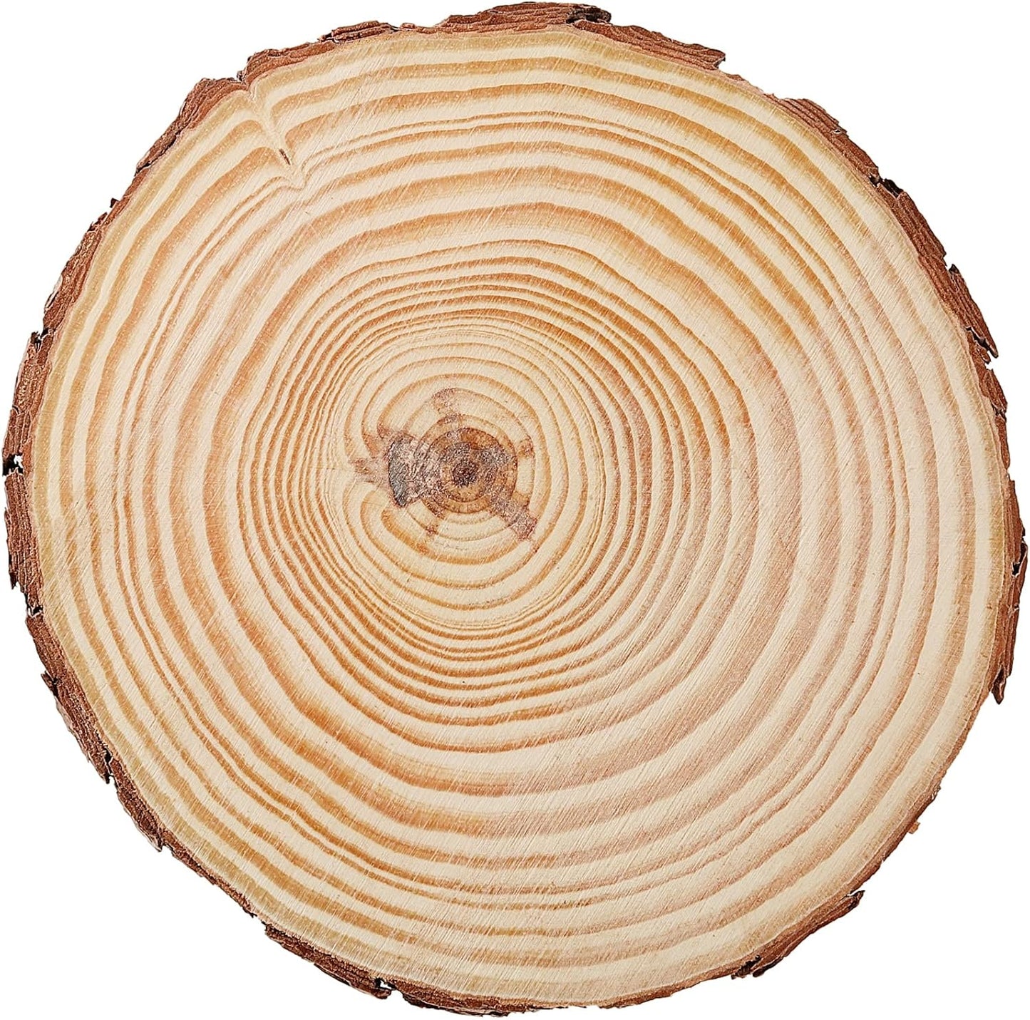 JEUIHAU 12 PCS 5.5-5.9 Inches Natural Unfinished Wood Slices, Round Wooden Tree Bark Discs, Wooden Circles for DIY Crafts, Christmas, Rustic Wedding Ornaments
