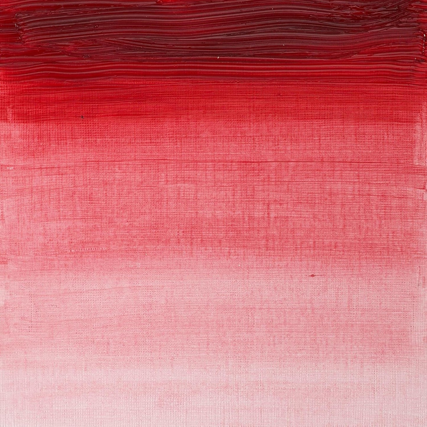 Winsor & Newton Artists' Oil Color, 37ml (1.25 oz) Tube, Rose Madder Genuine