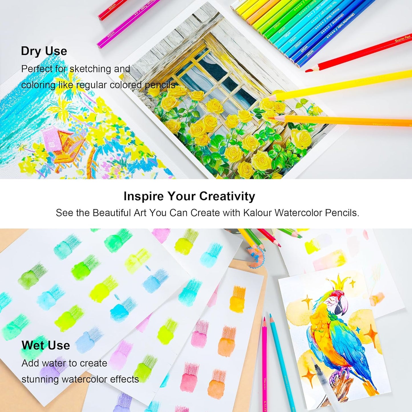 KALOUR Watercolor Pencils,50 Colors, Blendable Wet or Dry, Ideal for Coloring Books and Art