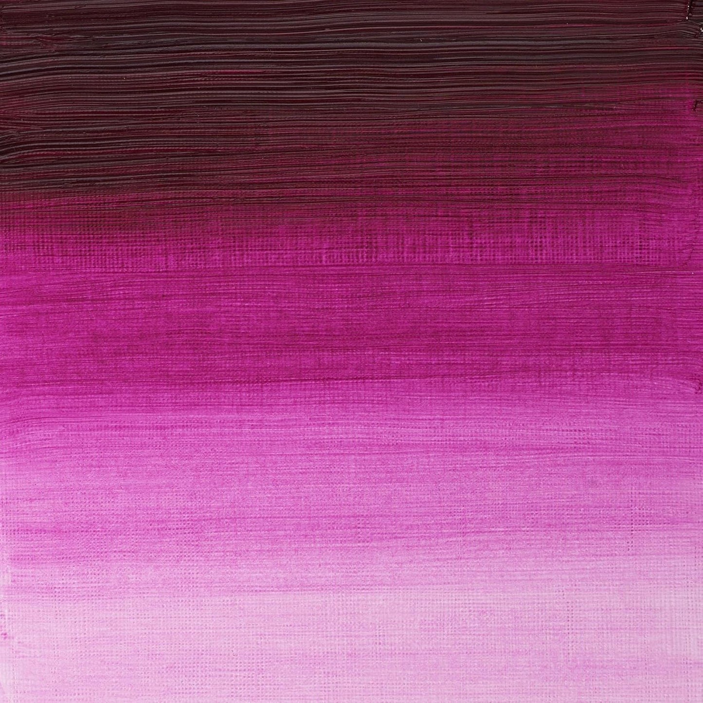 Winsor & Newton Artists' Oil Color, 37ml (1.25 oz) Tube, Magenta